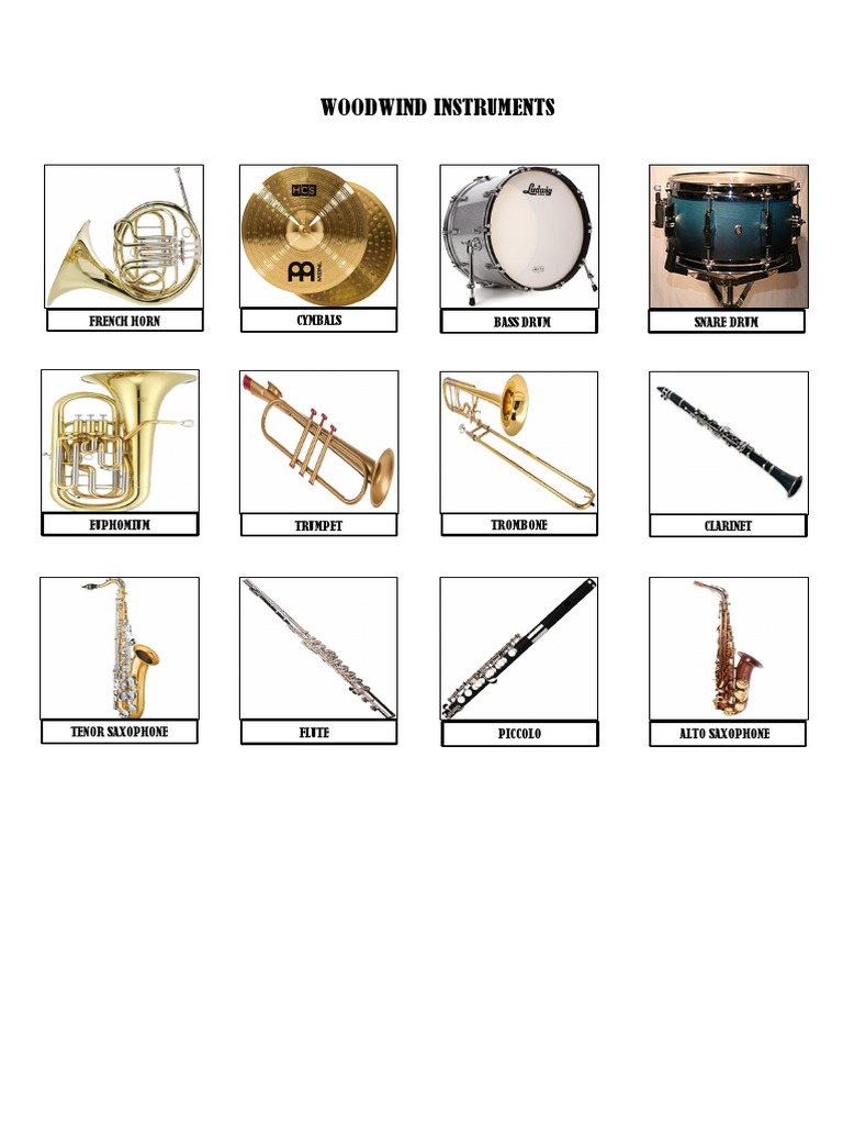 Woodwind Instruments French Horn Cymbals Bass Drum Snare Drum PDF