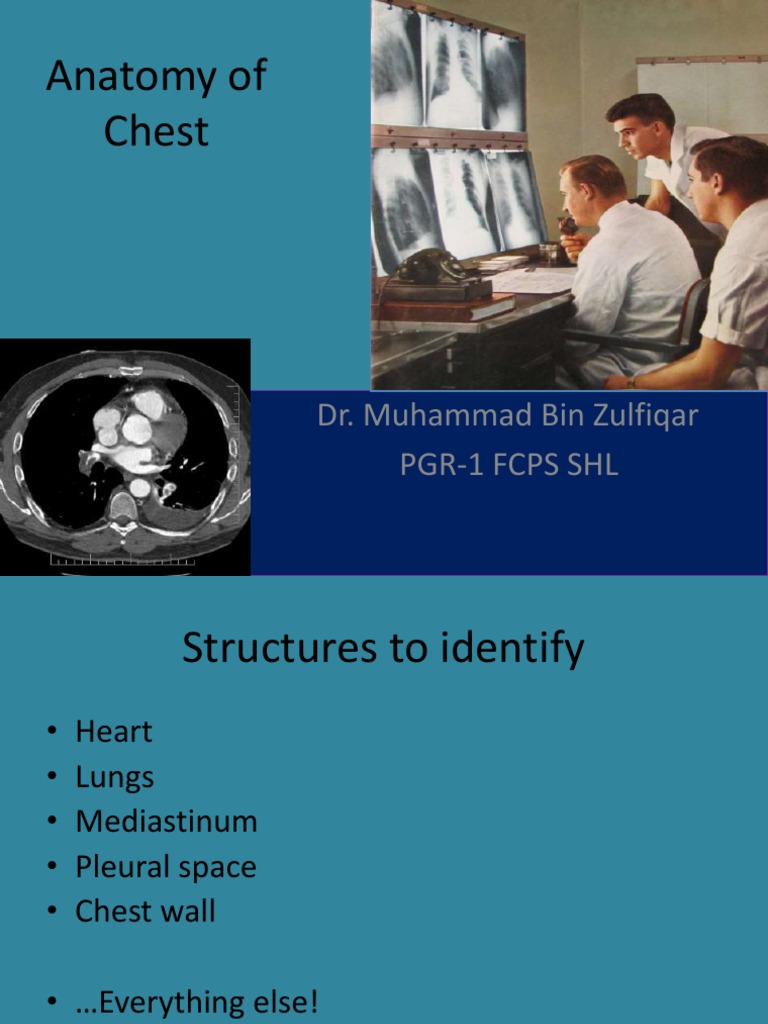 Anatomy of Chest PDF | PDF | Lung | Thorax