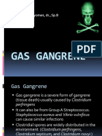 Gas Gangrene: By: Roys A. Pangayoman, DR., SP.B