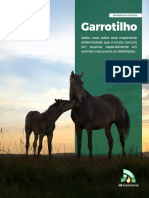 Garrotilho.pdf