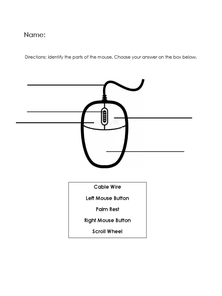 Name:: Directions: Identify The Parts of The Mouse. Choose Your Answer ...