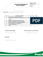 Fse-009 Induccion de Seguridad