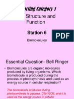 Station 6 Biomolecules