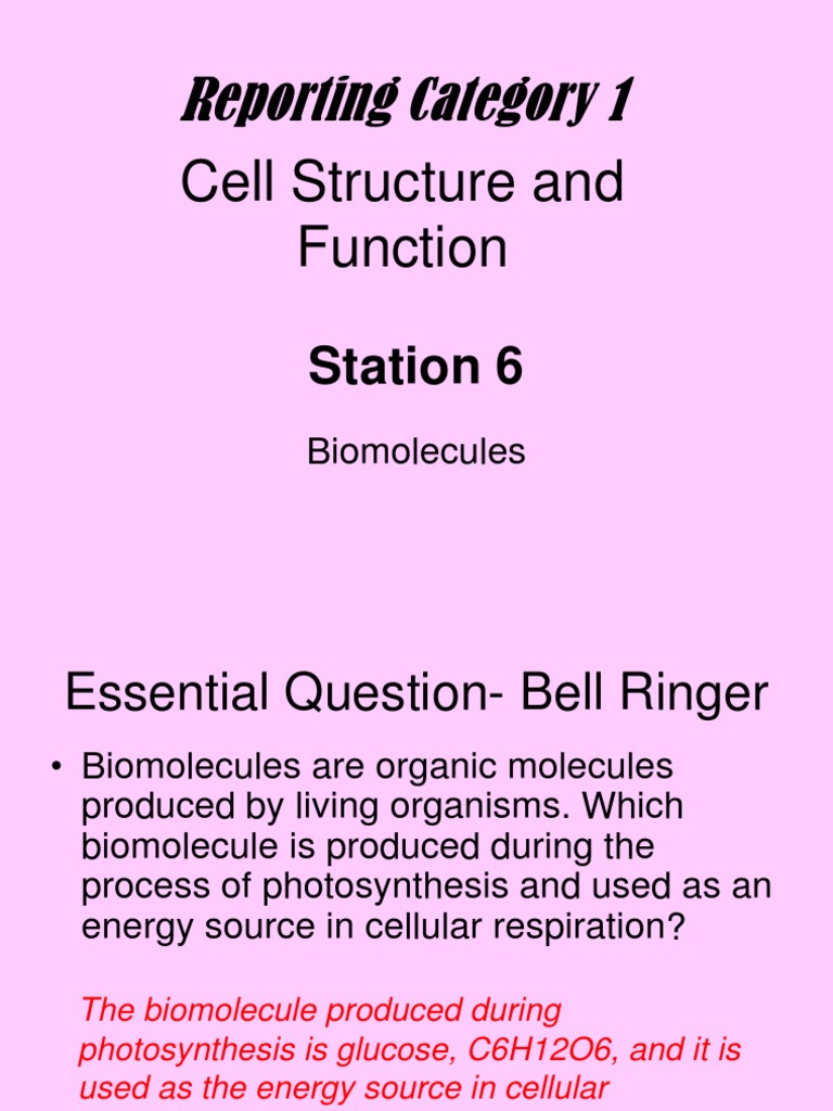 Reporting Category 1 Cell Structure and Function PDF Biomolecules