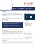 Staff Guidance: Implementation of Critical Audit Matters: The Basics