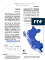 La Anemia en El Peru