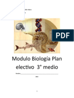 Modulo Evolucion