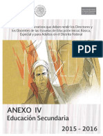 Anexo 4 Secundaria PDF