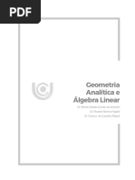 GEOMETRIA ANALÍTICA E ÁLGEBRA LINEAR.pdf