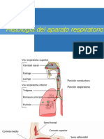 Histología del aparato respiratorio guía completa