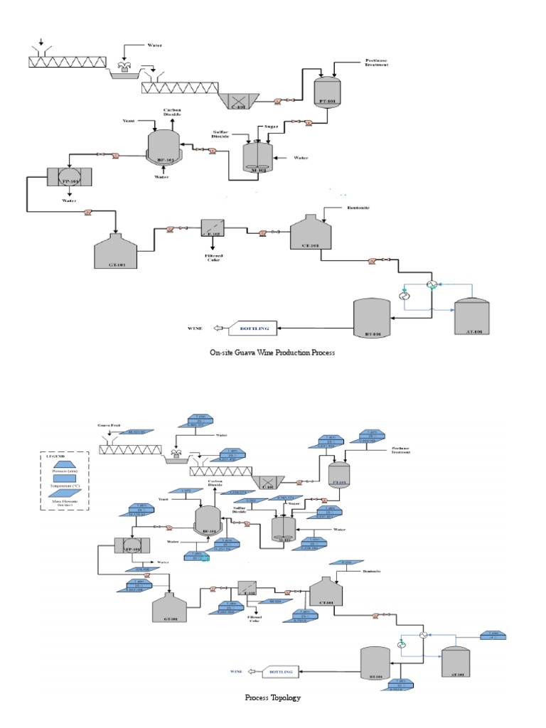 On-Site Guava Wine Production Process | PDF