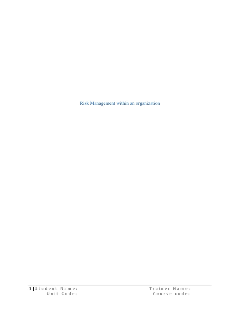 Risk Management Within An Organization | PDF | Risk Management | Risk