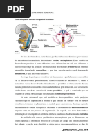1. Revisão - Embriologia, Fisiologia e Anatomia Do Sistema Feminino