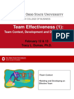Team Effectiveness (1) :: Team Context, Development and Decision Making