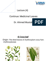 4) Lect. 4 Leaf (Continue, Medicinal Leaves)(١)
