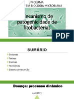 Mecanismo de Patogenicidade de Bactérias Fitopatogênicas