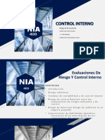 Nia 400 Control Interno