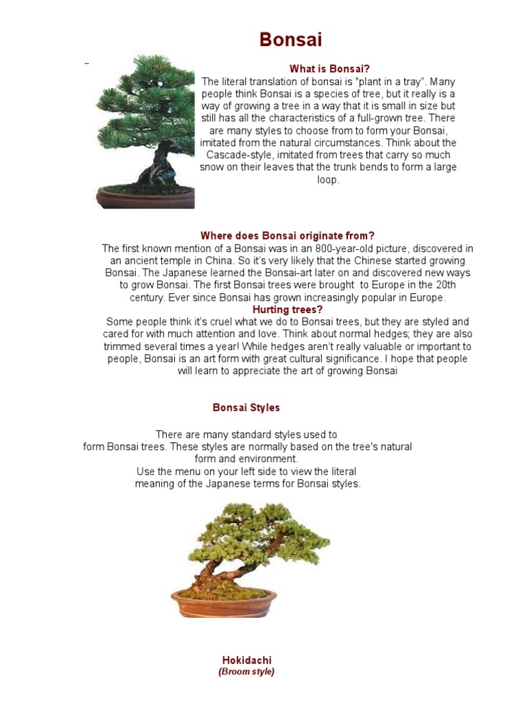 IL GRANDE MANUALE DEL BONSAI PDF DOWNLOAD visual data 2