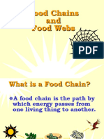 FoodChain and Food Web