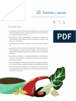 Manual nutricion anemia..pdf