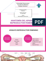 Anatomía Aparato Reproductor Femenino