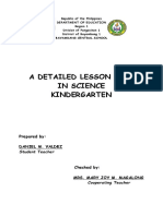 lesson plan Final Demo.docx