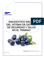 Diagnóstico inicial SST