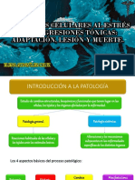 Respuestas Celulares Al Estres y Las Agresiones Toxicas