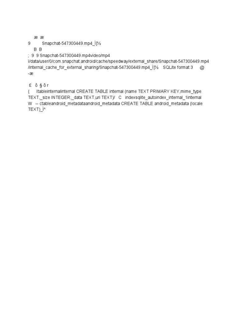 Snapchat Video Metadata | PDF