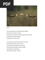 (R6D3) a Resistência