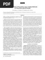 Download Caracterizacion de phytophthora by jufra SN42190588 doc pdf