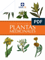 Guia Mapuche Para Plantas Medicinales