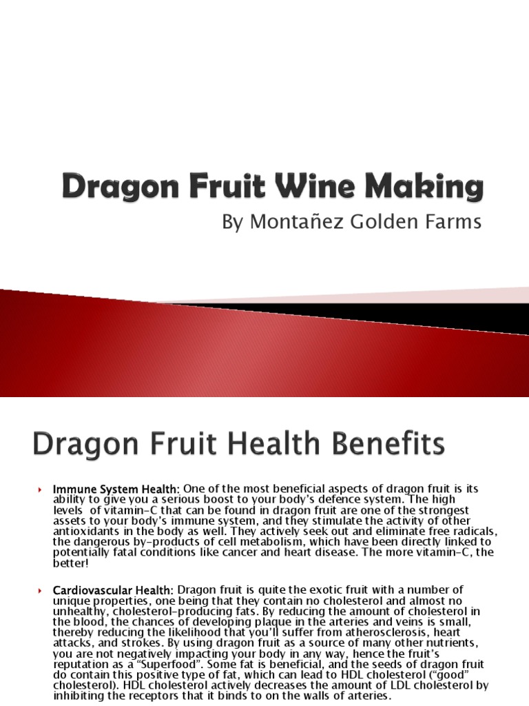 Dragon Fruit Wine Making PDF Winemaking Wine