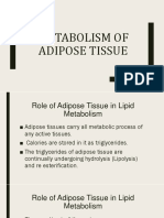 Metabolism of Adipose Tissue