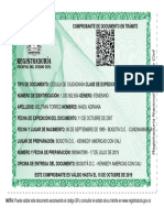 Comprobante de Documento en Tramite 1030562654 PDF