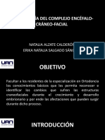 EMBRIOLOGIA DEL COMPLEJO ENCEFALO-CRANEO-FACIAL.pptx