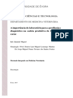 Escola de Ciências E Tecnologia