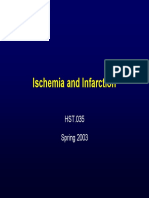 Ischemia and Infarction: HST.035 Spring 2003