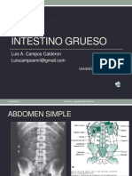 Abdomen Colon B