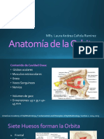 Anatomia de La Orbita 2018