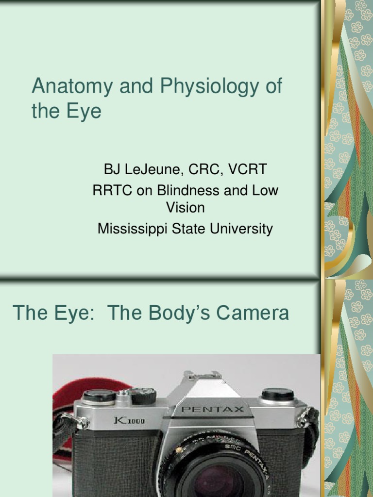 Anatomy and Physiology of the Eye | PDF | Retina | Human Eye
