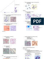 Micro Lab Prac - PDCR PDF
