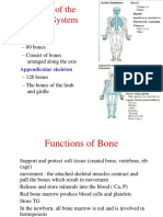 Skeletal System