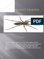 Raznovrsnost Paukova