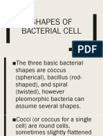 Shapes of Bacterial Cell.