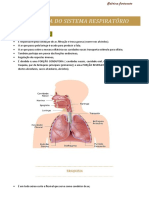 Histologia Do Sistema Respiratório