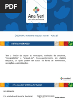 Anatomia Aula 17(1)