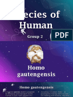 Species of Human: Group 2