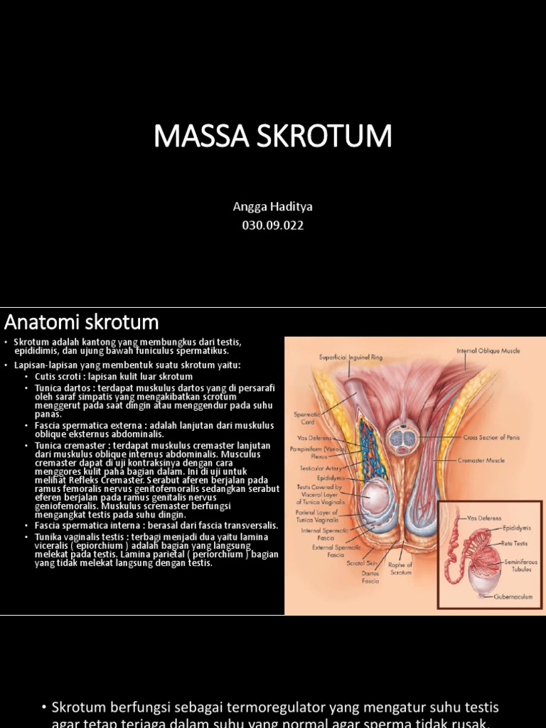 Yalangoch rus yulduzlari fotomontaji