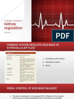 Acid Base Kidney Regulation